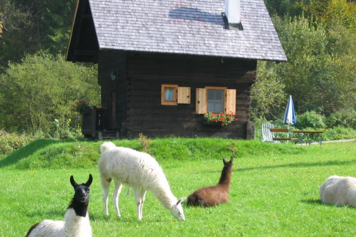 Huette Zum Verlieben Gurk Exterior foto